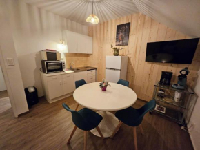 Gite Eglantine 2 à 6 personnes avec SPA et salle de jeux dans la résidence